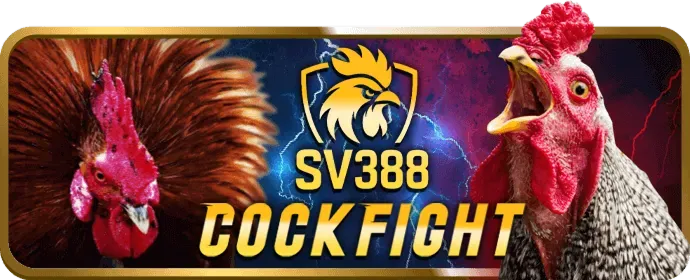 Hình ảnh minh họa các biện pháp bảo mật dữ liệu của VN88 Win
